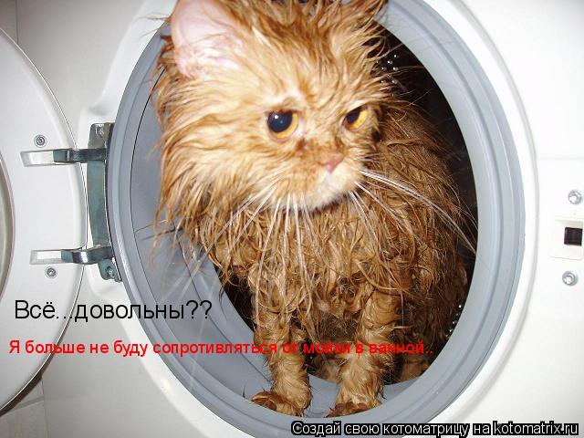 Котоматрица: Всё...довольны?? Я больше не буду сопротивляться от мойки в ванной..