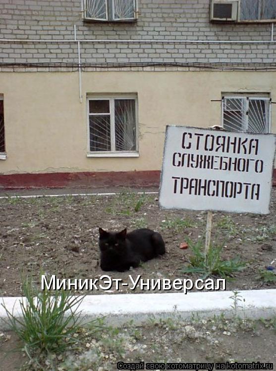 Котоматрица: МиникЭт-Универсал