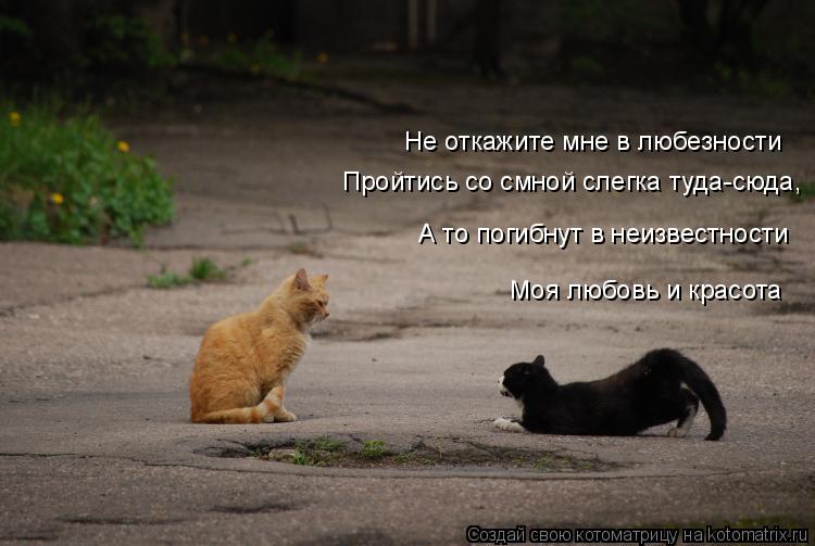 Не откажите мне в любезности Пройтись со смной слегка туда-сюда, А то погибнут в неизвестности Моя лю... Котоматрица: Не откажите мне в любезности Пройтись со смной слегка туда-сюда, А то погибнут в неизвестности Моя любовь и красота