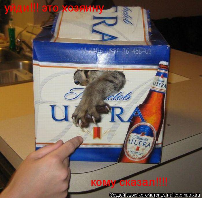 Котоматрица: уйди!!! это хозяину кому сказал!!!!