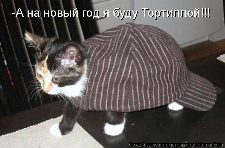 Котоматрица: -А на новый год я буду Тортиллой!!!