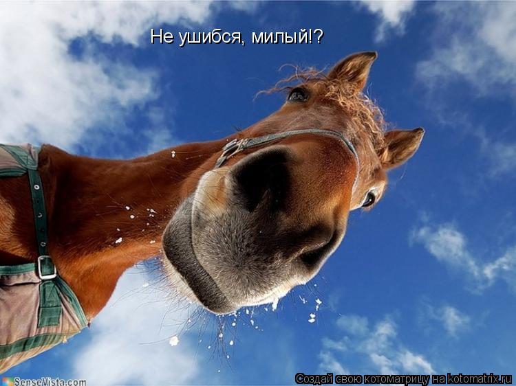 Котоматрица: Не ушибся, милый!?