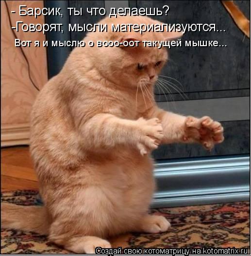 Котоматрица: - Барсик, ты что делаешь? -Говорят, мысли материализуются... Вот я и мыслю о вооо-оот такущей мышке...