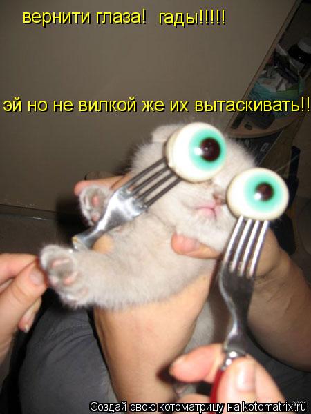 Котоматрица: вернити глаза! гады!!!!! эй но не вилкой же их вытаскивать!!!!