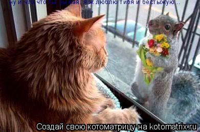 Котоматрица: ну и что что ты рыжая. я ж люблю тибя и бестыжую...