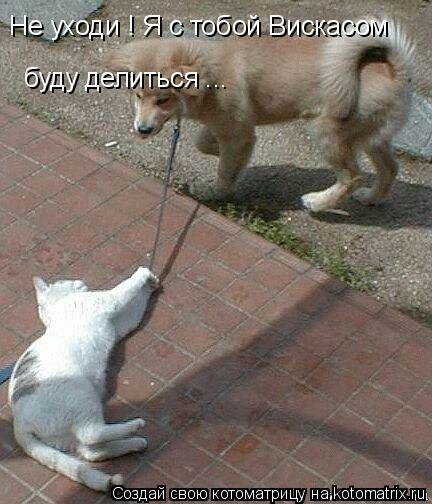 Котоматрица: Не уходи ! Я с тобой Вискасом  буду делиться ...
