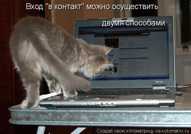 Котоматрица: Вход "в контакт" можно осуществить  двумя способами...