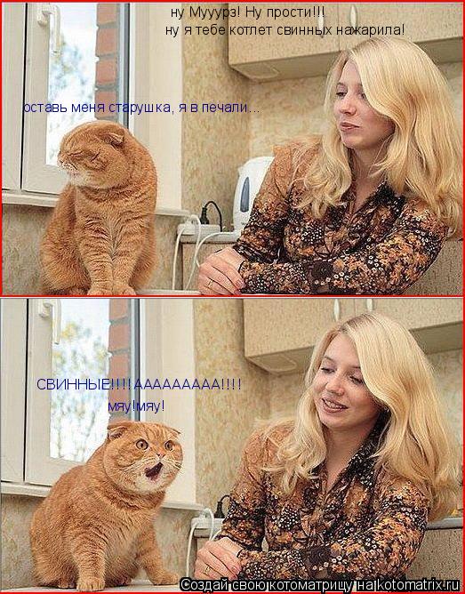 Котоматрица: ну Мууурз! Ну прости!!! ну я тебе котлет свинных нажарила! оставь меня старушка, я в печали... мяу!мяу! СВИННЫЕ!!!!ААААААААА!!!!