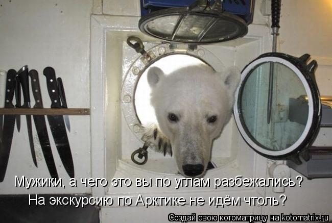 Мужики, а чего это вы по углам разбежались? На экскурсию по Арктике не идём чтоль?... Котоматрица: Мужики, а чего это вы по углам разбежались? На экскурсию по Арктике не идём чтоль?