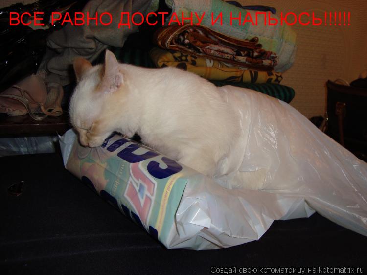 Котоматрица: ВСЕ РАВНО ДОСТАНУ И НАПЬЮСЬ!!!!!!