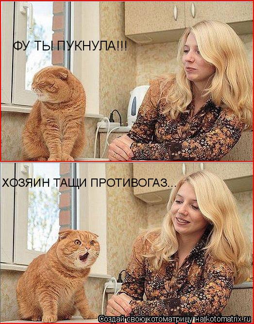Котоматрица: ФУ ТЫ ПУКНУЛА!!! ХОЗЯИН ТАЩИ ПРОТИВОГАЗ...