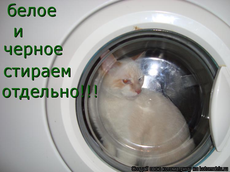 Котоматрица: белое и черное стираем отдельно!!!