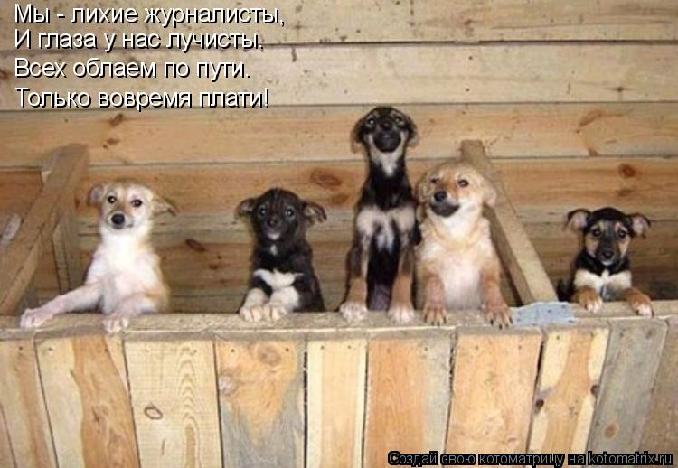 Мы - лихие журналисты, И глаза у нас лучисты. Всех облаем по пути. Только вовремя плати!... Котоматрица: Мы - лихие журналисты, И глаза у нас лучисты. Всех облаем по пути. Только вовремя плати!