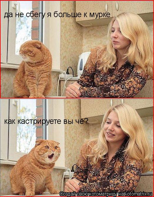 Котоматрица: да не сбегу я больше к мурке как кастрируете вы чё?