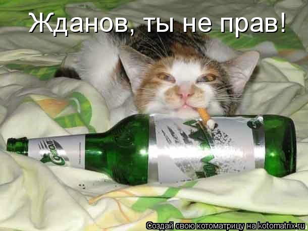 Котоматрица: Жданов, ты не прав!