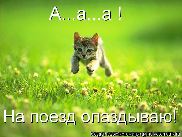 Котоматрица: А...а...а !  На поезд опаздываю!