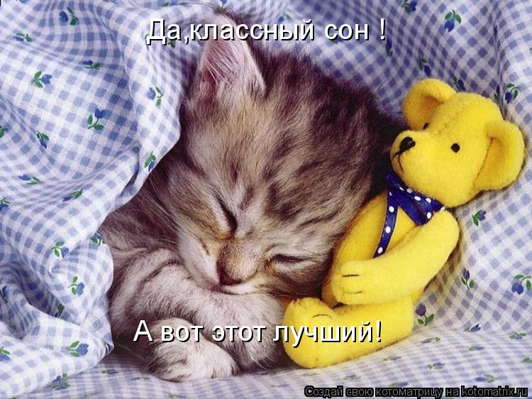Котоматрица: Да,классный сон !  А вот этот лучший!