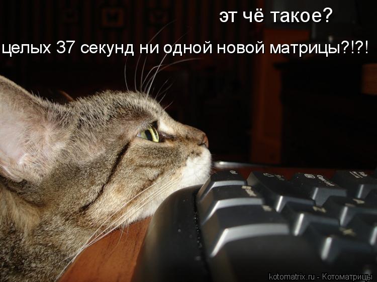 эт чё такое? целых 37 секунд ни одной новой матрицы?!?!... Котоматрица: эт чё такое? целых 37 секунд ни одной новой матрицы?!?!