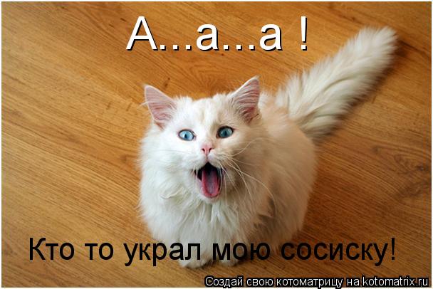 Котоматрица: А...а...а !  Кто то украл мою сосиску!