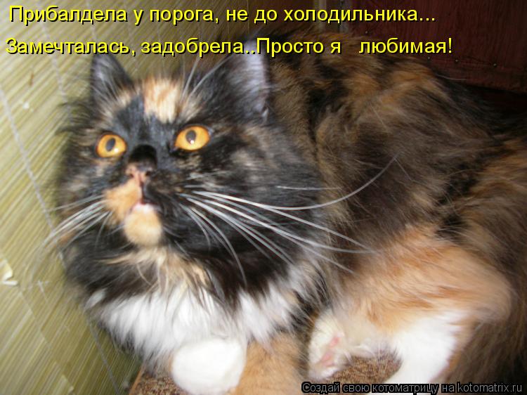 Котоматрица: Замечталась, задобрела..Просто я   любимая! Прибалдела у порога, не до холодильника...