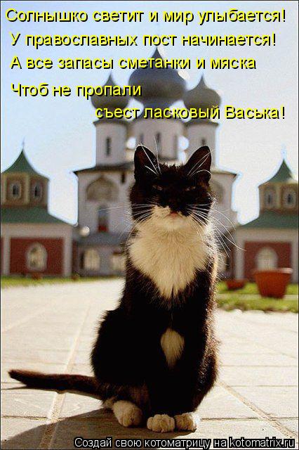 Котоматрица: Солнышко светит и мир улыбается! У православных пост начинается! А все запасы сметанки и мяска Чтоб не пропали  съест ласковый Васька!