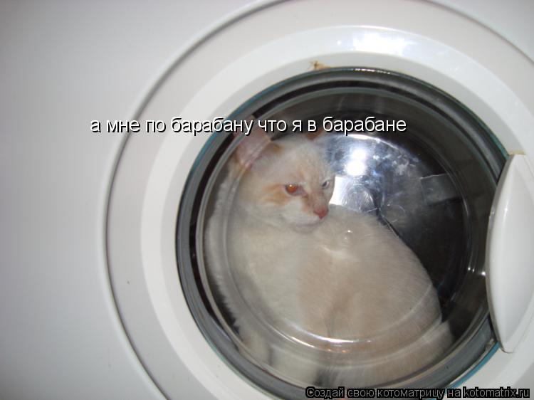 а мне по барабану что я в барабане... Котоматрица: а мне по барабану что я в барабане