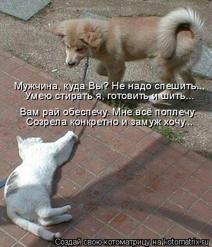 Мужчина, куда Вы? Не надо спешить... Умею стирать я, готовить и шить... Вам рай обеспечу. Мне всё по... Котоматрица: Мужчина, куда Вы? Не надо спешить... Умею стирать я, готовить и шить... Вам рай обеспечу. Мне всё поплечу. Созрела конкретно и замуж хочу...