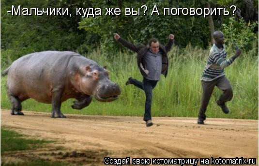 -Мальчики, куда же вы? А поговорить?... Котоматрица: -Мальчики, куда же вы? А поговорить?