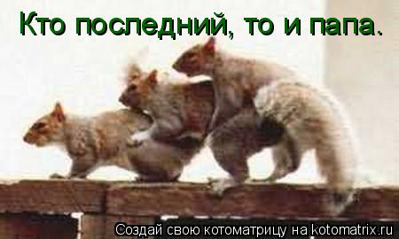 Кто последний, то и папа.... Котоматрица: Кто последний, то и папа.