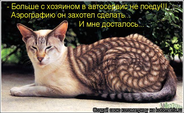 http://kotomatrix.ru/images/lolz/2010/10/07/698897.jpg