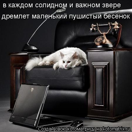 в каждом солидном и важном звере дремлет маленький пушистый бесенок... Котоматрица: в каждом солидном и важном звере дремлет маленький пушистый бесенок