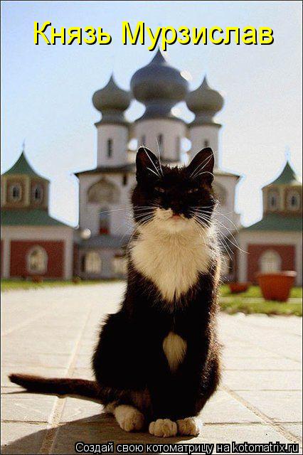 Князь Мурзислав... Котоматрица: Князь Мурзислав