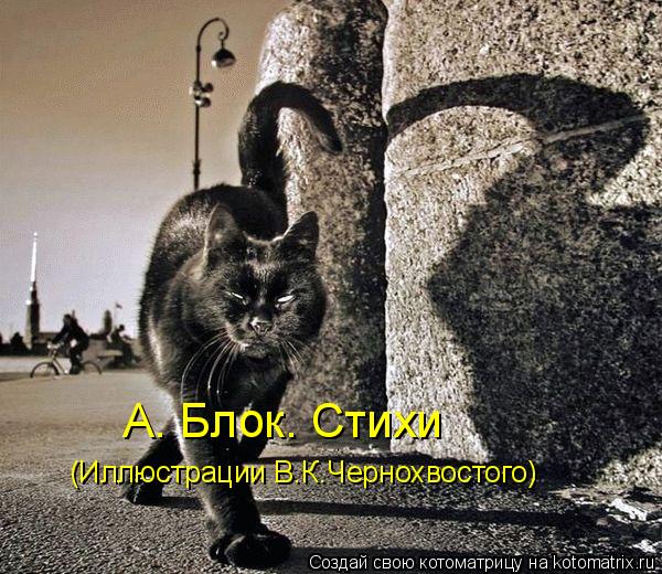 Котоматрица: А. Блок. Стихи (Иллюстрации В.К.Чернохвостого)