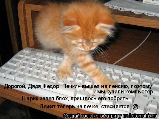 Дорогой, Дядя Федор! Печкин вышел на пенсию, поэтому мы купили компьютер. Шарик завел блох, пришлос... Котоматрица: Дорогой, Дядя Федор! Печкин вышел на пенсию, поэтому мы купили компьютер. Шарик завел блох, пришлось его побрить.. Лежит теперь на печке, сте