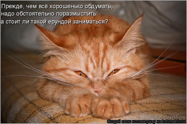 Прежде, чем всё хорошенько обдумать, надо обстоятельно поразмыслить: а стоит ли такой ерундой занимат... Котоматрица: Прежде, чем всё хорошенько обдумать, надо обстоятельно поразмыслить: а стоит ли такой ерундой заниматься?
