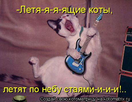 Котоматрица: -Летя-я-я-ящие коты, летят по небу стаями-и-и-и!..
