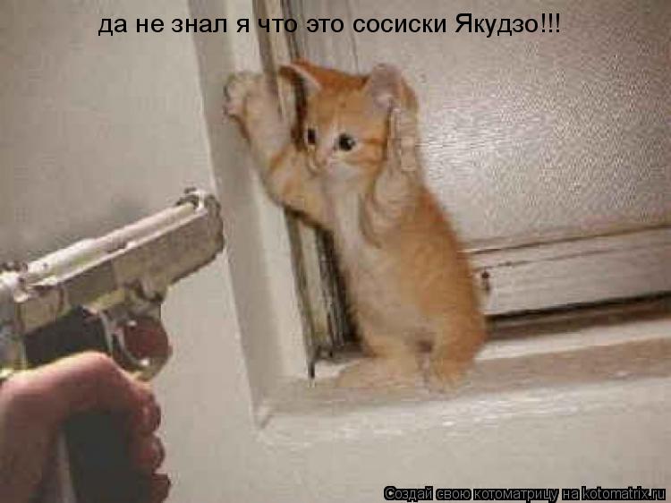 Котоматрица: да не знал я что это сосиски Якудзо!!!
