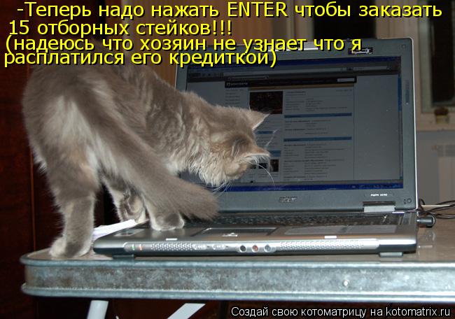 Котоматрица: -Теперь надо нажать ENTER чтобы заказать 15 отборных стейков!!! (надеюсь что хозяин не узнает что я расплатился его кредиткой)