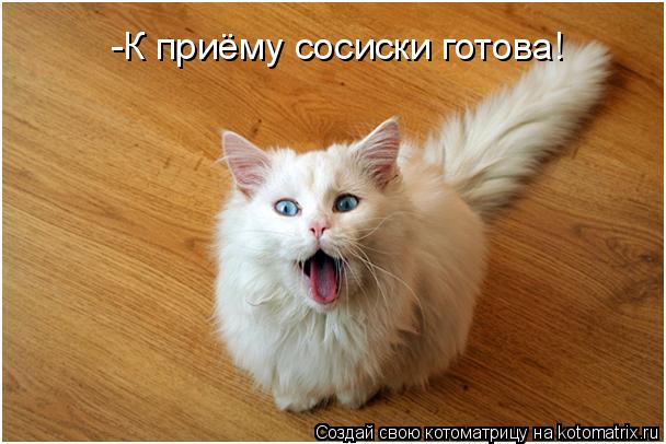 -К приёму сосиски готова!... Котоматрица: -К приёму сосиски готова!
