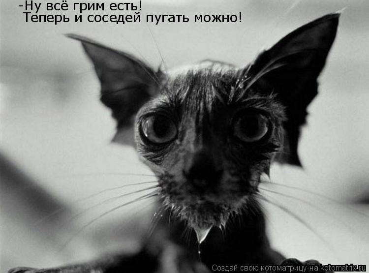 -Ну всё грим есть! Теперь и соседей пугать можно!... Котоматрица: -Ну всё грим есть! Теперь и соседей пугать можно!