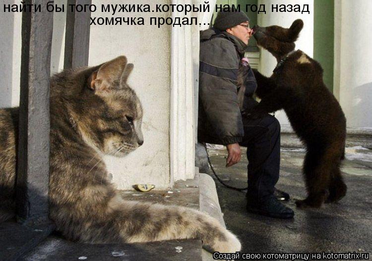 найти бы того мужика.который нам год назад хомячка продал...... Котоматрица: найти бы того мужика.который нам год назад хомячка продал...