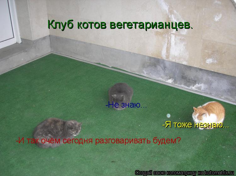 -И так очём сегодня разговаривать будем? -Не знаю... -Я тоже незнаю... Клуб котов вегетарианцев.... Котоматрица: -И так очём сегодня разговаривать будем? -Не знаю... -Я тоже незнаю... Клуб котов вегетарианцев.