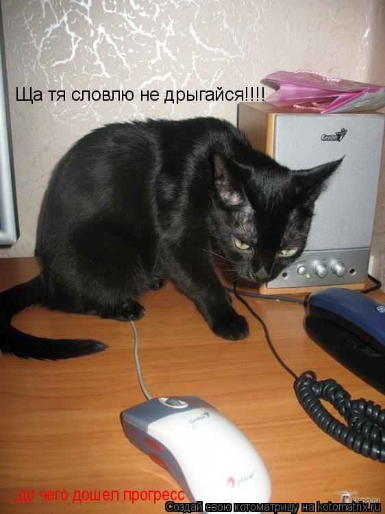 Ща тя словлю не дрыгайся!!!! ...до чего дошел прогресс... Котоматрица: Ща тя словлю не дрыгайся!!!! ...до чего дошел прогресс