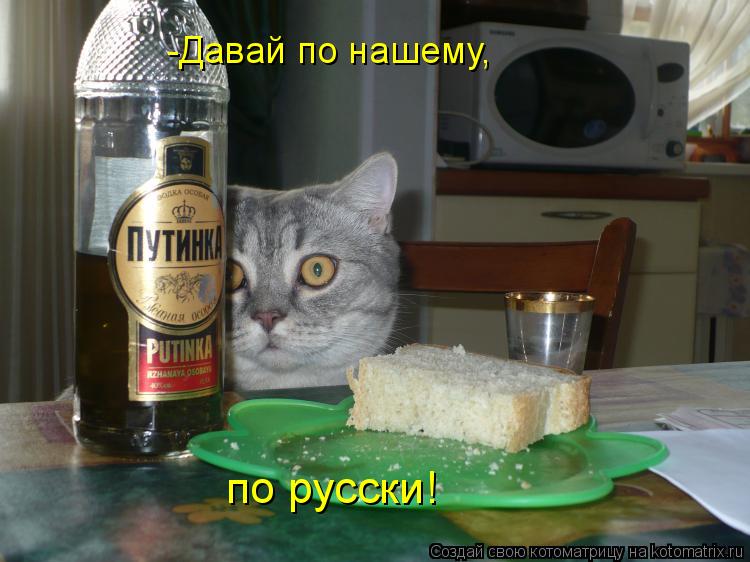 -Давай по нашему, по русски!... Котоматрица: -Давай по нашему, по русски!