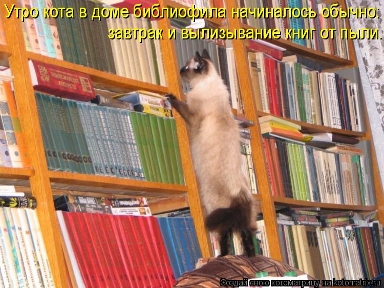 Утро кота в доме библиофила начиналось обычно: завтрак и вылизывание книг от пыли.... Котоматрица: Утро кота в доме библиофила начиналось обычно: завтрак и вылизывание книг от пыли.