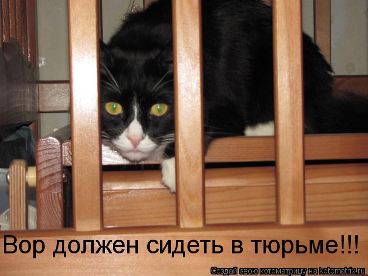 Вор должен сидеть в тюрьме!!!... Котоматрица: Вор должен сидеть в тюрьме!!!