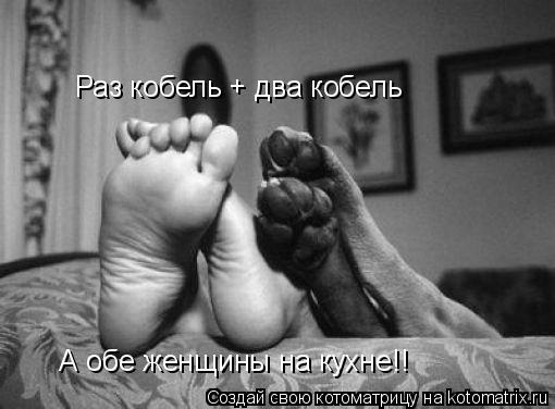Раз кобель + два кобель А обе женщины на кухне!!... Котоматрица: Раз кобель + два кобель А обе женщины на кухне!!