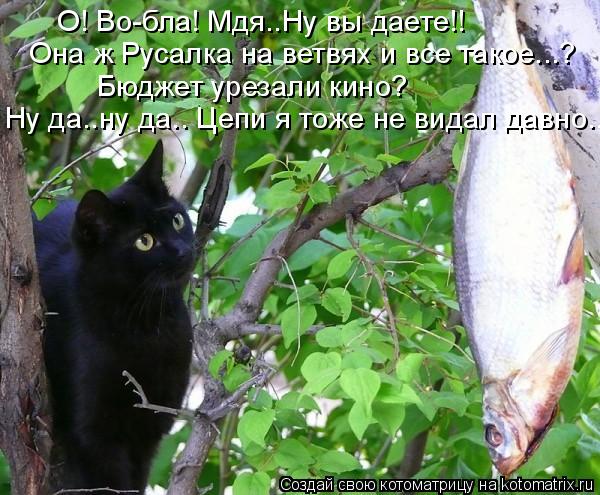 Котоматрица: О! Во-бла! Мдя..Ну вы даете!!  Она ж Русалка на ветвях и все такое...?  Бюджет урезали кино?  Ну да..ну да.. Цепи я тоже не видал давно....