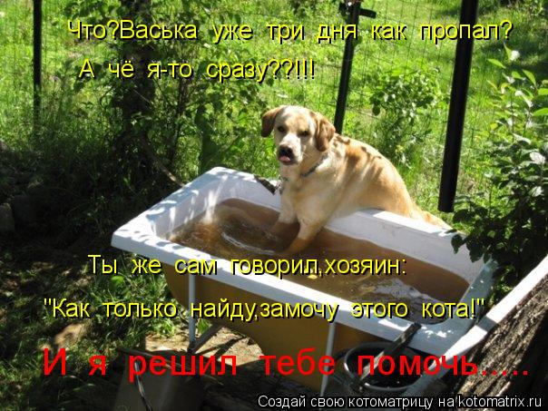 Что?Васька уже три дня как пропал? А чё я-то сразу??!!! Ты же сам говорил,хозяин: "Как то... Котоматрица: Что?Васька уже три дня как пропал? А чё я-то сразу??!!! Ты же сам говорил,хозяин: "Как только найду,замочу этого кота!" И я решил те
