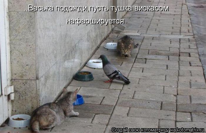 ..Васька подожди,пусть тушка вискасом нафаршируется... Котоматрица: ..Васька подожди,пусть тушка вискасом нафаршируется